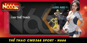 in sport - ảnh đại diện