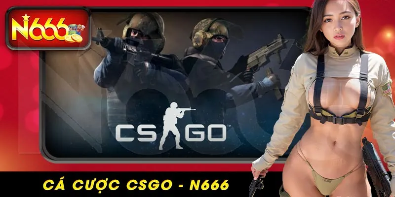 cá cược csgo n666 - ảnh đại diện